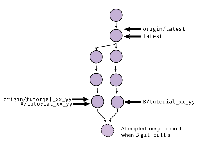 ../../_images/git_merge_attempt.png