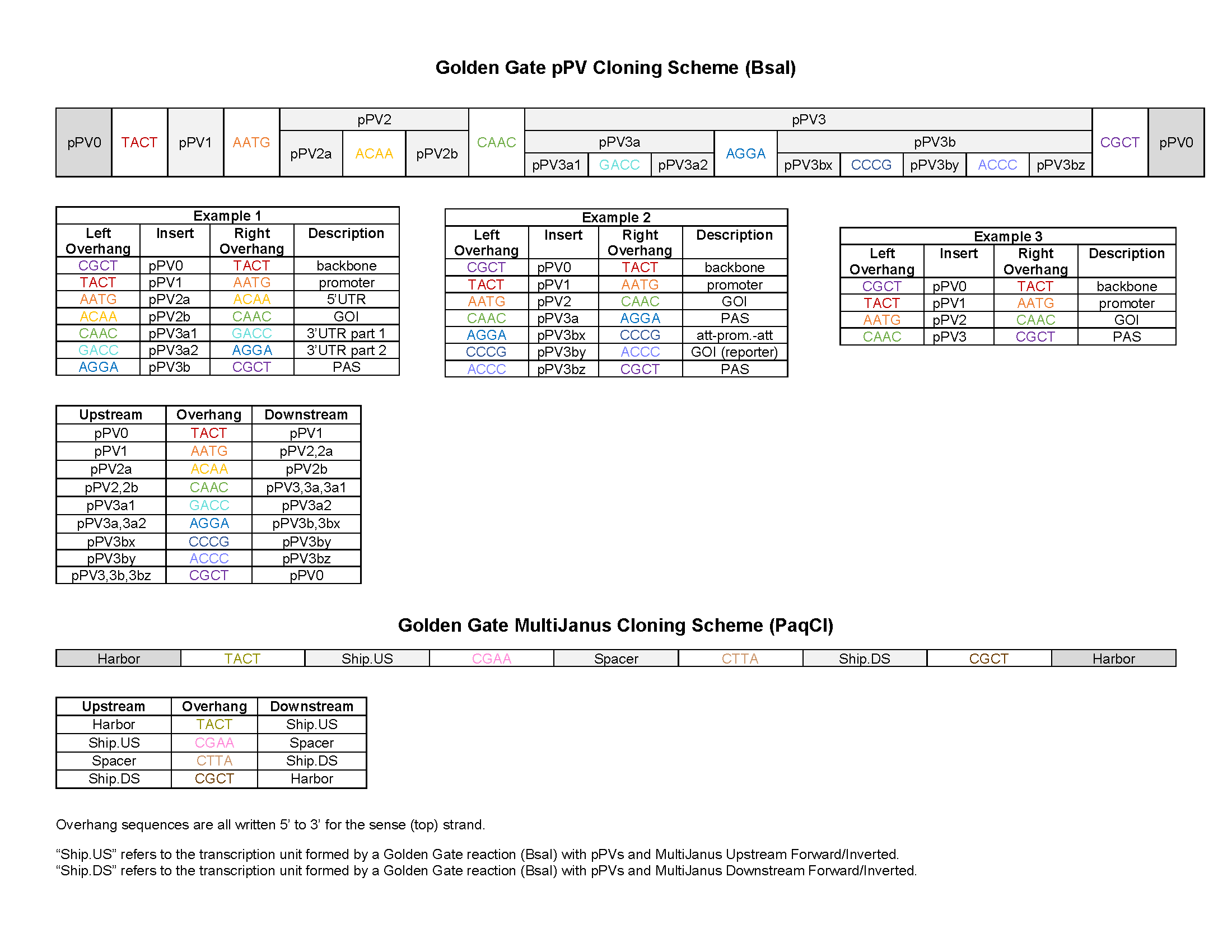 ../../_images/2022.06.21_GG-cloning-scheme.png