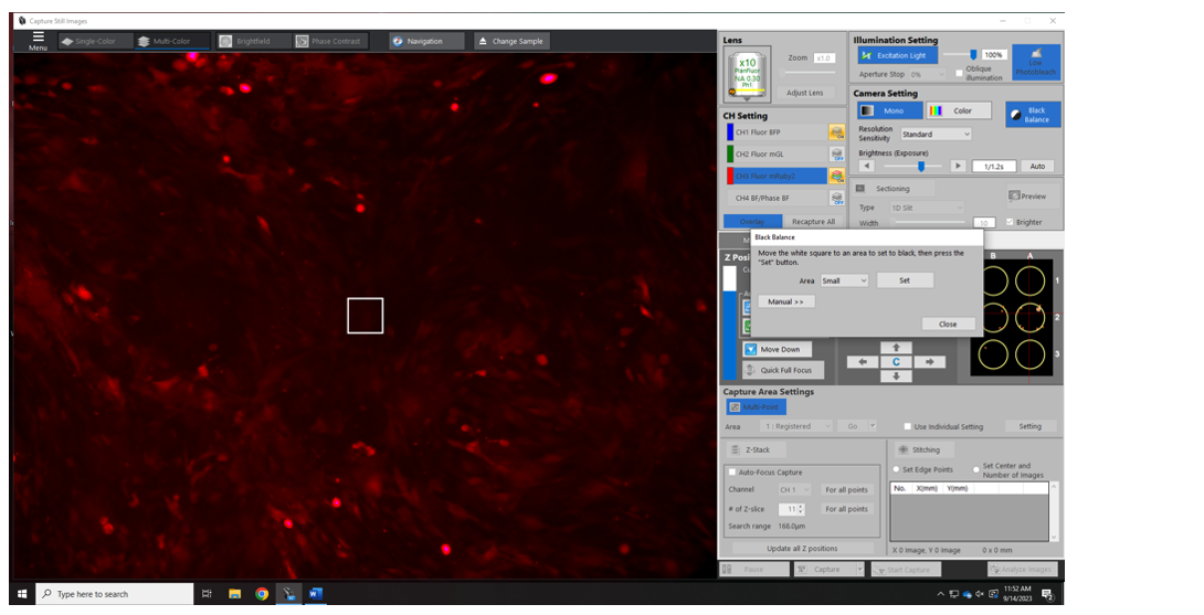 ../../_images/image-settings-blackbalance.png